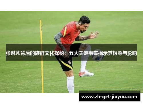 张琳芃背后的族群文化探秘：五大关键事实揭示其根源与影响