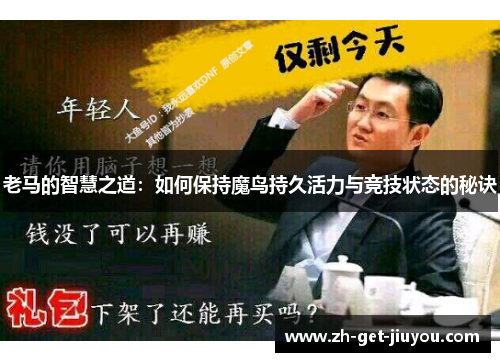 老马的智慧之道:如何保持魔鸟持久活力与竞技状态的秘诀 老马的智慧之道:如何保持魔鸟持久活力与竞技状态的秘诀