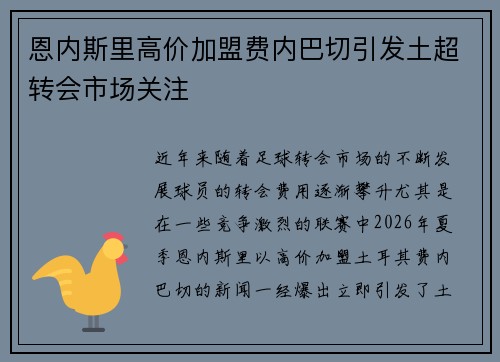 恩内斯里高价加盟费内巴切引发土超转会市场关注